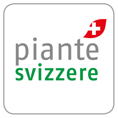 piante svizzere